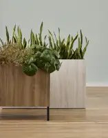 waveworks-planters-1932