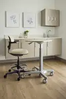 alterna-rolli-aidin-healthcare-nurse