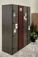 footprint-pedspaces25-1202