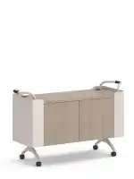 plp-zing-alt6a-static