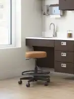 plp-physician-exam-stool-env-static