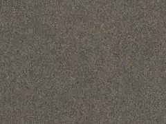 7204_Silt_7204-Silt