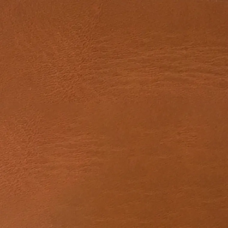 CA_Camel_CA-Camel