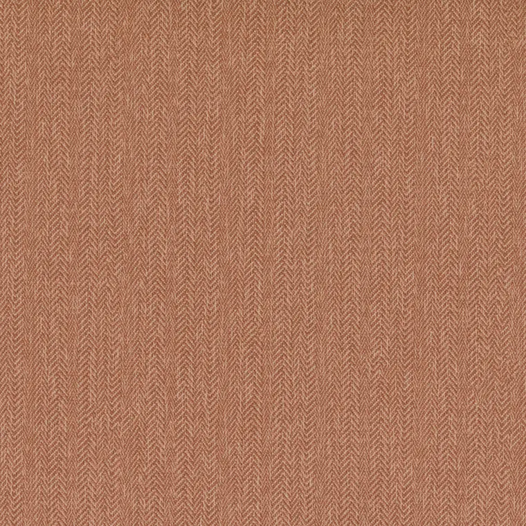 vestige-autumn-31007