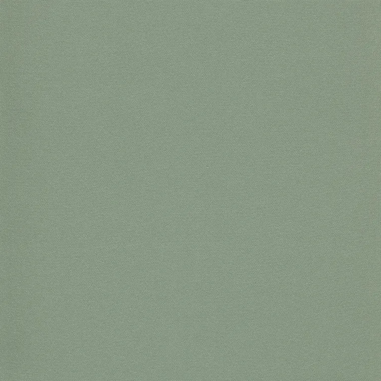 silvertex-spearmint-41342