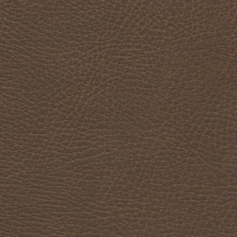 Brisa Distressed Bridle