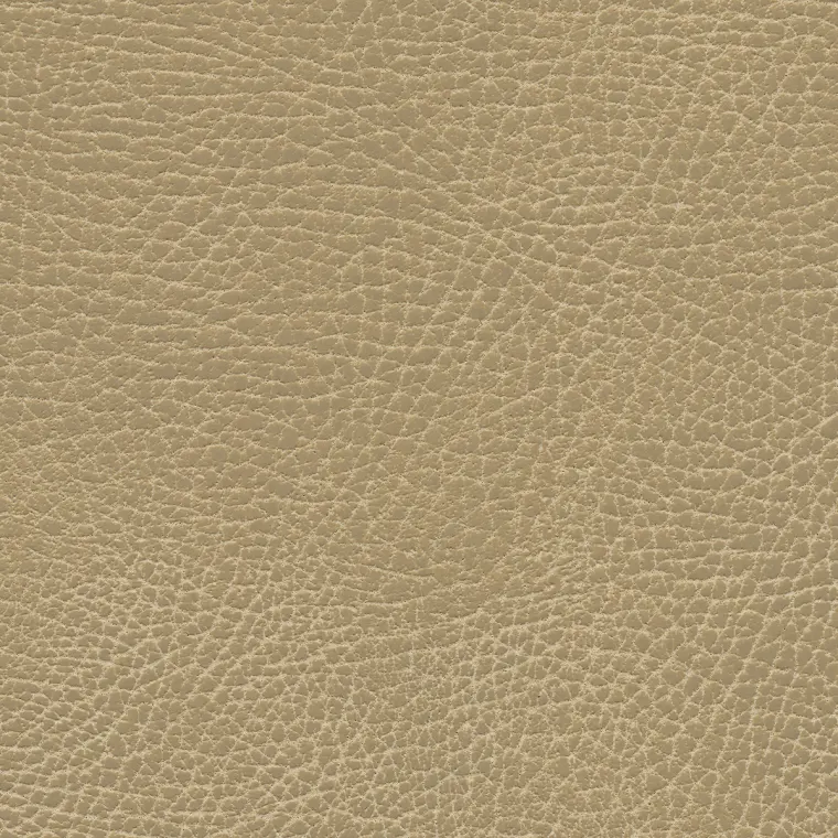 Brisa Distressed Buckskin