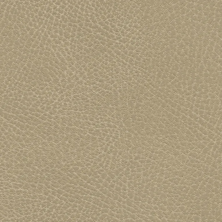 Brisa Distressed Desert Tan