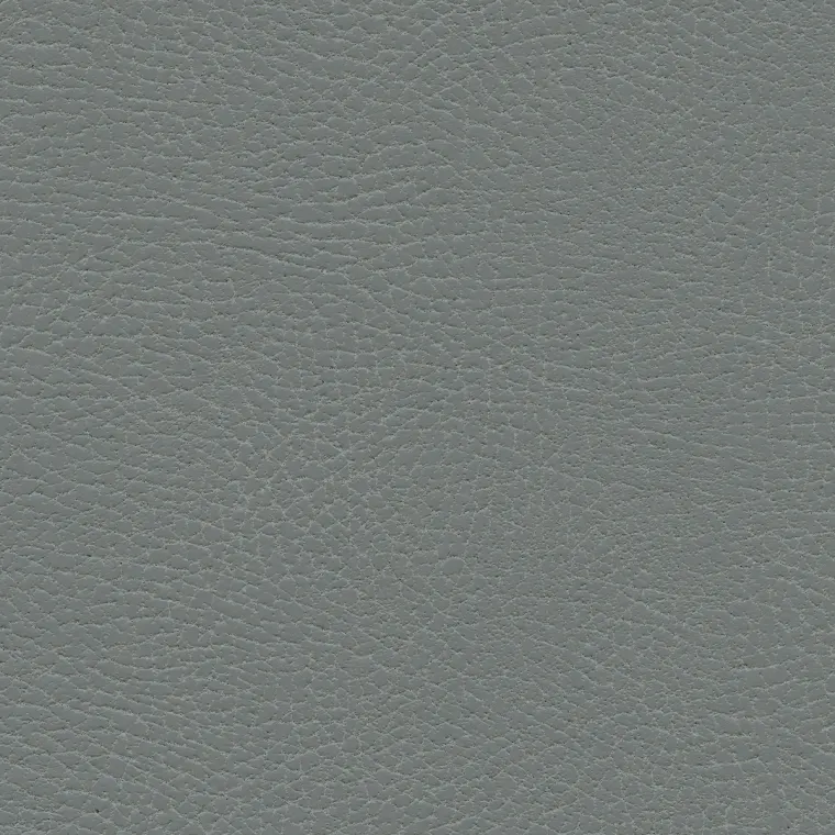 Brisa Distressed Koala