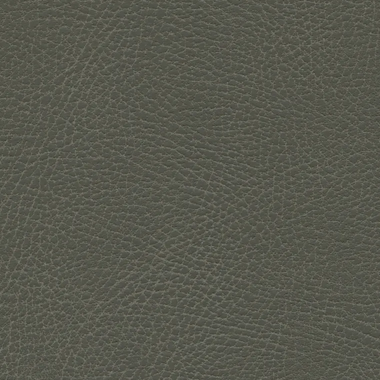 Brisa Distressed Pelt