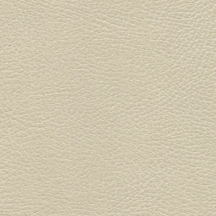 Brisa Distressed Navajo Ivory