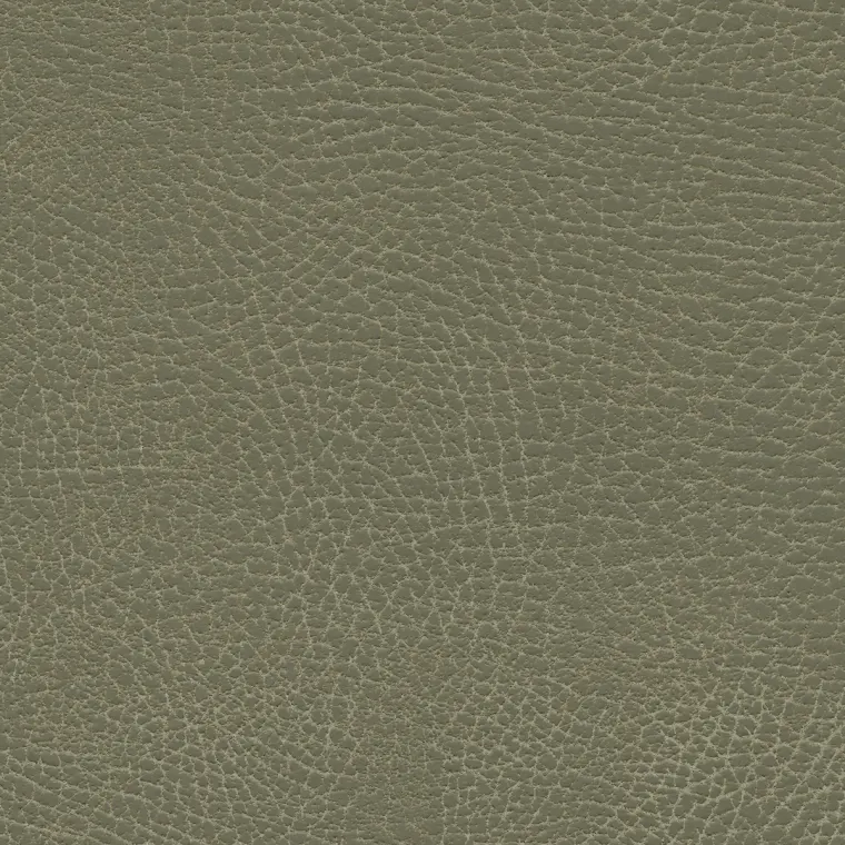 Brisa Distressed Prairie