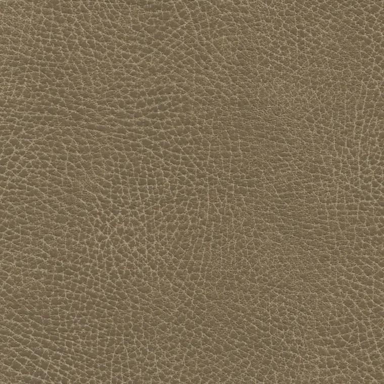 Brisa Distressed Saddle