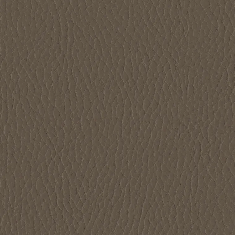 Tottori Wild Truffle