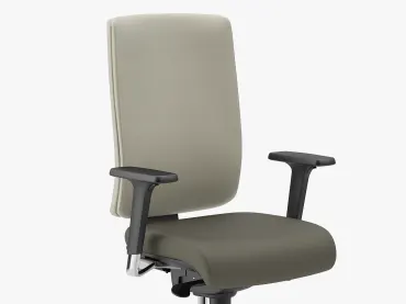 Contrasting Back, Seat, Extreme Back