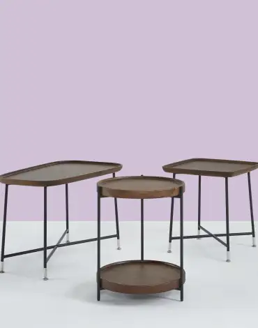 Oser_Group_Lavender_Bkgd_Crop