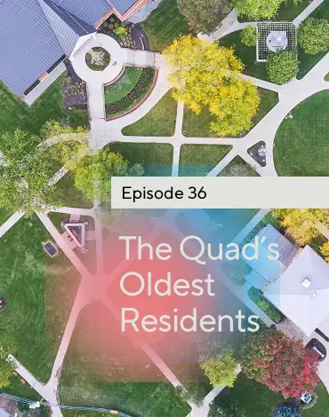adp-ep-36-Quads-Oldest-PLP-01