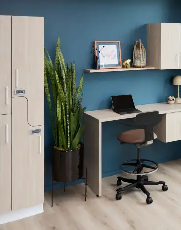 Alterna-Rolli-pchicago25-zone29-25_4e558c_plpcrop