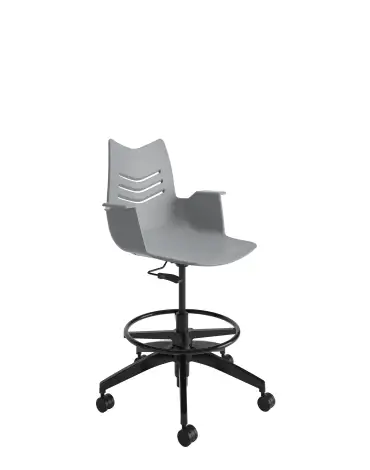 plp-essay-alt4-static