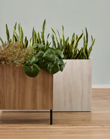plp-waveworks-planters-env-static