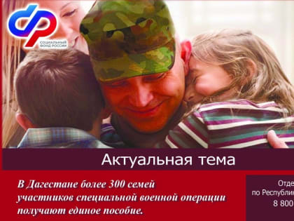 В Дагестане более 300 семей участников СВО получают единое пособие