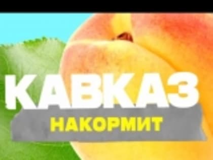 В рамках проекта «Кавказ накормит» показали документальный фильм об абрикосах Гумбета