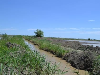 В 2023 году в Дагестане реализован 71 проект в сфере мелиорации на площади 12,8 тыс. га.