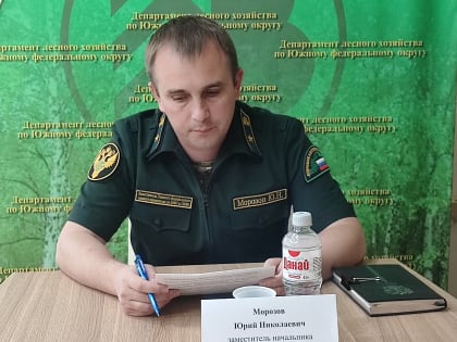 Названы две основные причины возникновения лесных пожаров в ЮФО