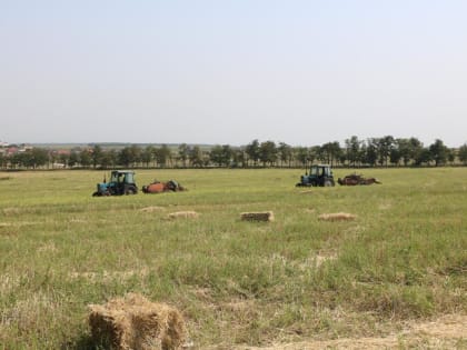 В Казбековских хозяйствах завершается уборка озимых культур   