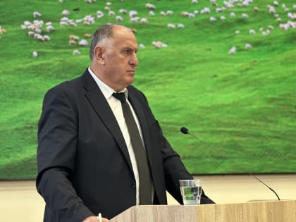 Предприятия-переработчики из Подмосковья готовы помочь Дагестану в развитии «шерстяного кластера»