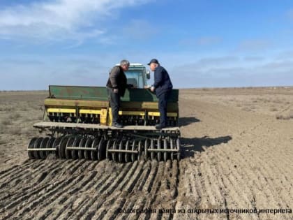 Дагестан первым в России приступил к севу яровых зерновых культур