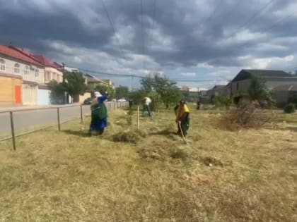 Городские службы наводят порядок в сквере на ул. Хаппалаева