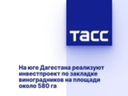 На юге Дагестана реализуют инвестпроект по закладке виноградников