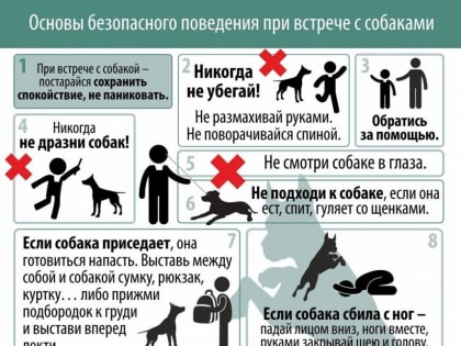 От причин отключений электроэнергии до строительства ВЭС