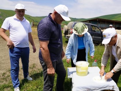 Молочное овцеводство активно развивается в Гунибском районе Дагестана