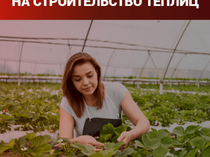Начался прием заявок на субсидирование строительства теплиц.