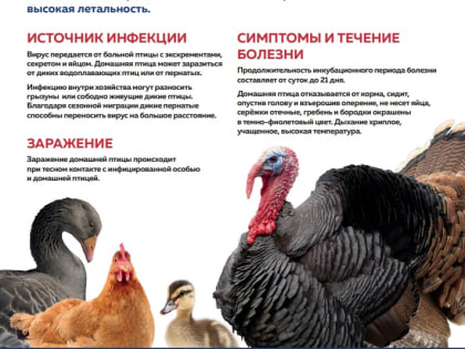 Новые меры по улучшению городской инфраструктуры