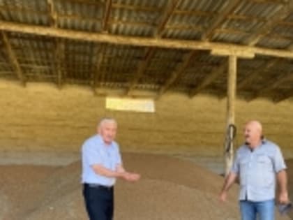 В хозяйствах Новолакского района полным ходом идёт уборка озимых колосовых культур