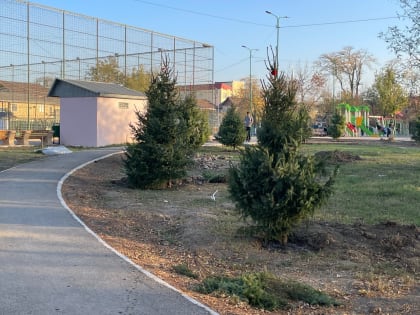 Благоустройство парка имени Акашевых на финишной прямой