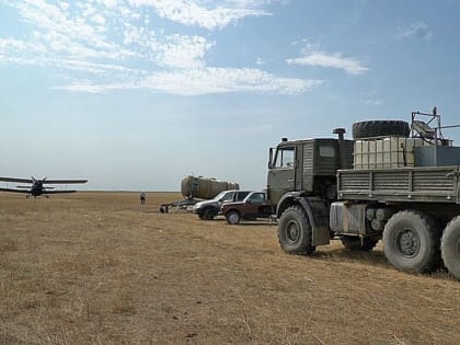 Более 20 000 га в Дагестане обработано инсектицидами против саранчи
