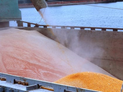 В Дагестане через морской порт Махачкалы отгружено более 550 тысяч тонн зерна в Иран