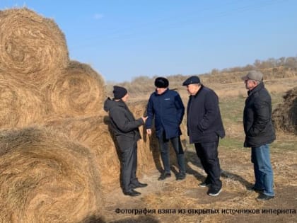 Мухтарбий Аджеков ознакомился с работой по заготовке страхового запаса кормов в республике