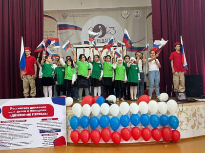 Первичные отделения РДДМ «Движение первых» открылись на базе ряда школ Новолакского района