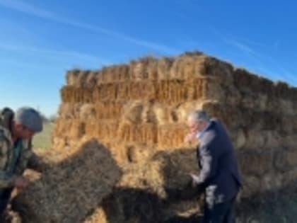 Мухтарахмед Ахмедов проверил готовность хозяйств Гумбета к зимовке