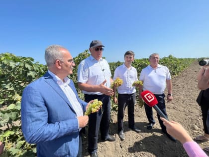 Абдулмуслим Абдулмуслимов посетил Дербентский район и ознакомился с ходом уборки винограда