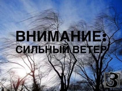 МЧС предупреждает об усилении ветра до 20 м/с в Дагестане