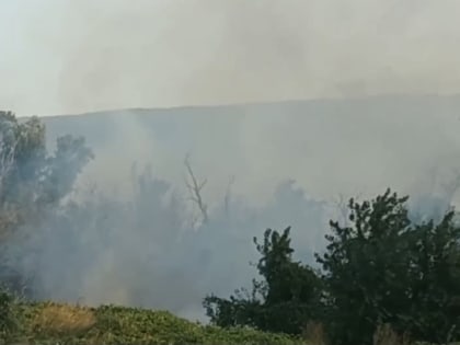 Пожар произошел в Эльтавском лесу в Махачкале