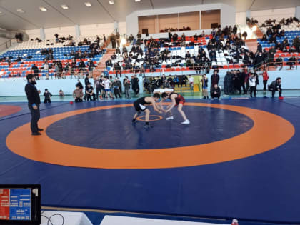 Отборочный турнир по вольной борьбе