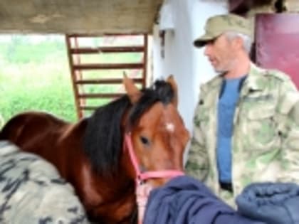 В рамках пресс-тура в Гумбете и коня подковали