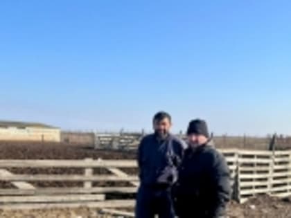 Магомед Абдулхалимов проверил готовность хозяйств Гумбета к зимовке скота
